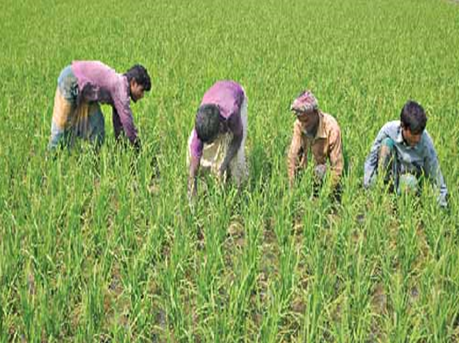 অষ্টম অধ্যায় | ফাংশন ও ফাংশনের লেখচিত্র (FUNCTIONS & GRAPH OF FUNCTIONS)