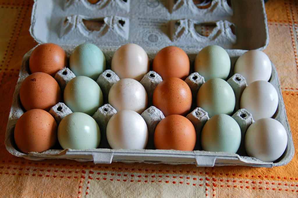 প্রথম অধ্যায় | ম্যাট্রিক্স ও নির্ণায়ক ( Matrices and Determinants)